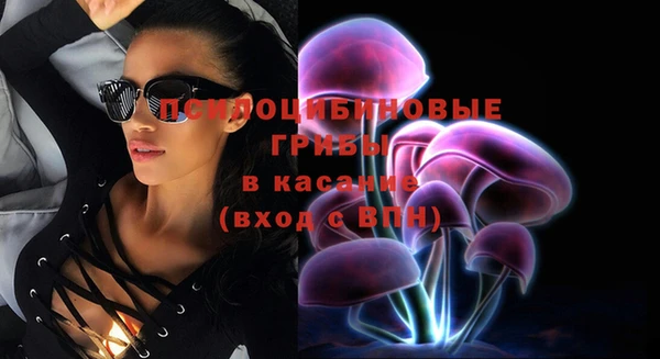 мяу мяу мука Армянск
