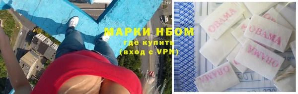 трава Аркадак