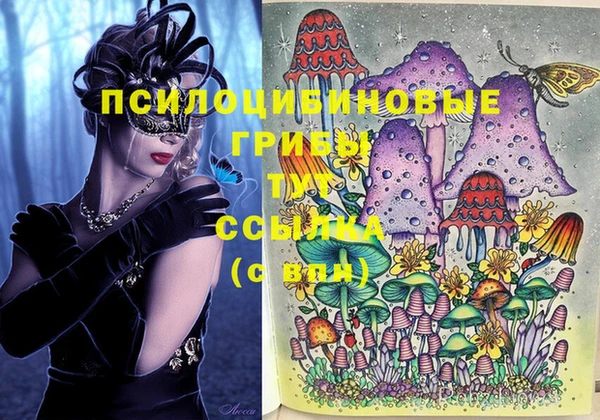 соль курить ск Балабаново