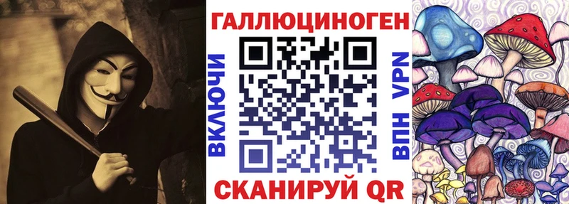 Псилоцибиновые грибы Psilocybine cubensis  Белинский 